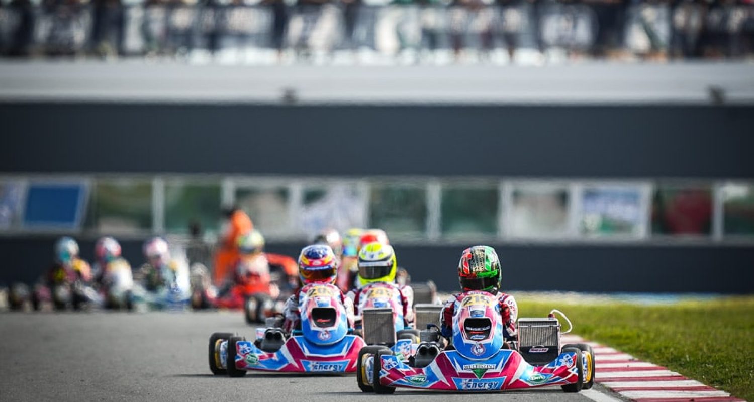 Molnar Martin, OK-Junior, HUN, Energy / TM Racing / Vega, Energy Corse Srl, European Championship, PORTIMAO, International Race, © KSP Reportages